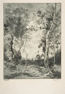 Jean Baptiste Camille Prints: Le cheval blanc, 1858?. Creator: Felix Bracquemond