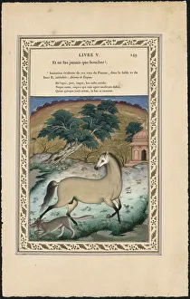 1837 1839 Prints: Le cheval et le loup (The Horse and the Wolf), 1837-1839. Creator: Imam Bakhsh Lahori