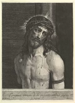 Bleeding Gallery: Le Christ a la colonne. Creator: Jean Morin