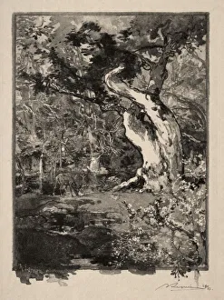 Le Clovis, Plateau de Bellecroix, 1890. Creator: Auguste Louis Lepere (French, 1849-1918)