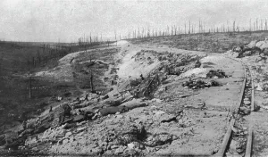 Shell Damage Prints: Le Fort de Vaux; Le ravin de la mort de Douaumont