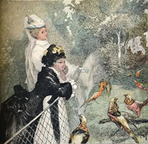 Le Jardin D Acclimatation, c1895. Artist: Felix Bracquemond