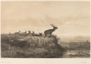 Bodmer Karl Prints: Le Matin. Creator: Karl Bodmer