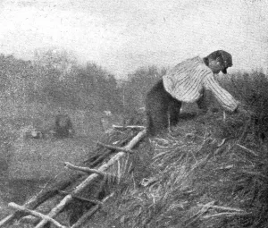Le front pittoresque; Villages de Paillot et Terriers a flanc de coteaux: Un couvreur, 1914. Creator: Unknown. Le front pittoresque; Villages de Paillot et Terriers a flanc de coteaux: Un couvreur, 1914. Creator: Unknown
