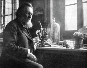Immunologist Prints: Le professeur Elie Metchikoff; sous-directeur de l'institut Pasteur