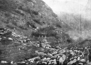 Retreating Prints: Le repli des troupes Francaises vers Salonique; --Passage du defile de Demir-Kapou
