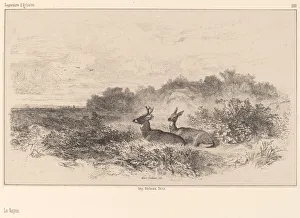 Le Repos. Creator: Karl Bodmer