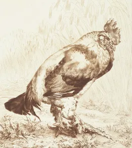 1882 Prints: Le Vieux Coq (The Old Rooster), 1882. Creator: Felix Bracquemond