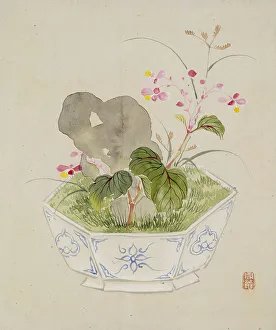 Houseplant Prints: Leaf from Album Depicting Birds
