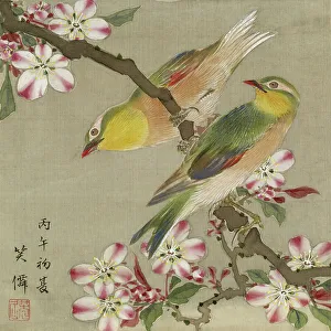 Ink On Silk Prints: Leaf from Album Depicting Birds