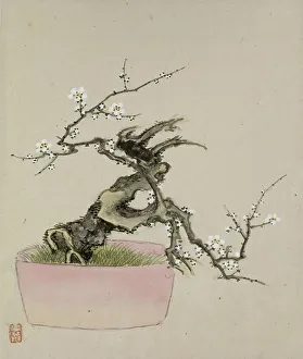 Leaf from Album Depicting Birds, Flowers, Landscapes, and Flower Pots, 1876. Creator: Yoshizawa Setsuan
