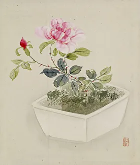 Houseplant Prints: Leaf from Album Depicting Birds