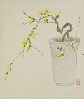 Houseplant Prints: Leaf from Album Depicting Birds
