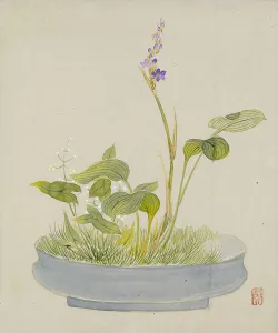 Houseplant Prints: Leaf from Album Depicting Birds