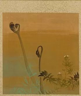 Shibata Zeshin Japanese Gallery: Leaf from Album of Seasonal Themes: Birds in Snow, 1847. Creator: Shibata Zeshin (Japanese