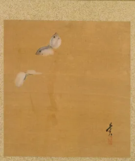 And Gold On Silk Gallery: Leaf from Album of Seasonal Themes: Maple Leaves and Feather, 1847. Creator: Shibata Zeshin
