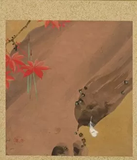 And Gold On Silk Gallery: Leaf from Album of Seasonal Themes: Moths, 1847. Creator: Shibata Zeshin (Japanese, 1807-1891)