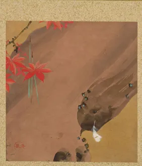 And Gold On Silk Gallery: Leaf from Album of Seasonal Themes: Moths, 1847. Creator: Shibata Zeshin (Japanese, 1807-1891)