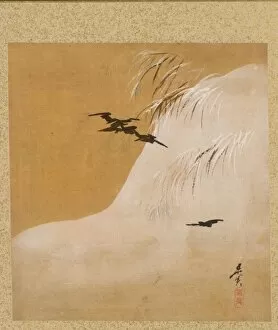 Shibata Zeshin Japanese Gallery: Leaf from Album of Seasonal Themes: New Ferns, 1847. Creator: Shibata Zeshin (Japanese, 1807-1891)