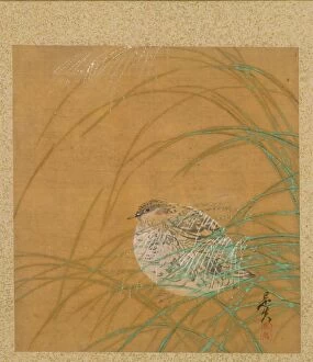 Shibata Zeshin Japanese Gallery: Leaf from Album of Seasonal Themes: Shoreline with Birds, 1847. Creator: Shibata Zeshin (Japanese)
