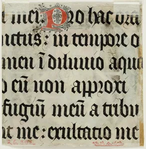 Letter P Prints: Leaf Fragment with Text with Ornamental 'P', 15th century. Creator: Unknown