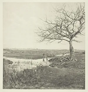 Leafless March (Suffolk), 1878 / 87, printed 1888. Creator: Peter Henry Emerson