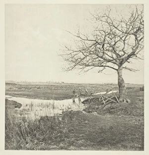March Gallery: Leafless March (Suffolk), 1878 / 87, printed 1888. Creator: Peter Henry Emerson