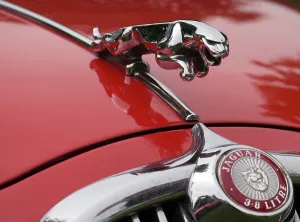 Badge Prints: Leaping cat mascot on Jaguar 3.8 litre