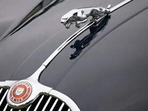 Mascot Prints: Leaping cat mascot on Jaguar XK150
