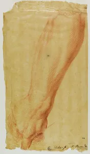Left Arm of a Hunter, n.d. Creator: Bernard Baron