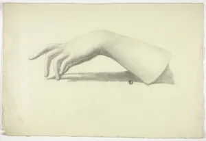 Elizabeth Heaphy Prints: Left Forearm and Hand, n. d. Creator: Elizabeth Murray