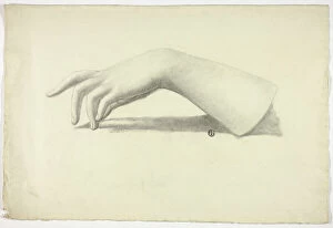 Left Forearm and Hand, n.d. Creator: Elizabeth Murray