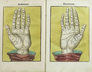 Joint Prints: Left and right hand, 1490. Creator: Unknown