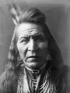 Apsaroke Prints: Two Leggings, c1908. Creator: Edward Sheriff Curtis