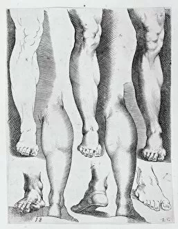 Foot Gallery: Five Legs and Three Feet, 17th century. 17th century. Creator: Luca Ciamberlano