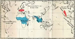 R Bowdler Sharpe Gallery: Lemuroidea - I. Map, Showing the distribution of Living (Blue) and Fossil (Red), 1897