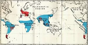 R Bowdler Sharpe Gallery: Lemuroidea - IV. Map, Showing distribution of Living (Blue) and Fossil (Red) Anthropoidea, 1897