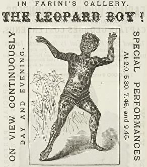 Variety Act Prints: The Leopard Boy! in Farini's Gallery