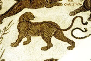 Bardo Museum Prints: Leopard, c2nd-3rd century