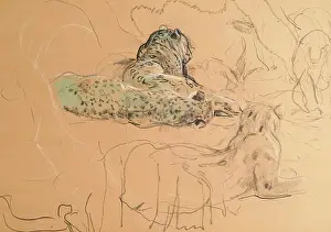 Leopard Prints: Leopard. Creator: John MacAllan Swan