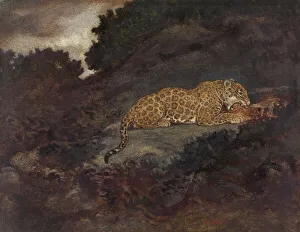 Leopard Prints: Leopard Eating, 19th century. Creator: Antoine-Louis Barye