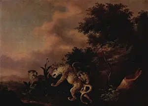 Feline Prints: Leopards Attacking a Wild Boar, 1750. Creator: Wenzel Ignaz Prasch