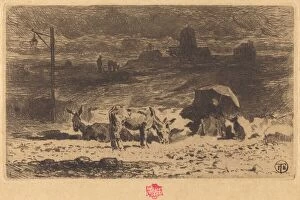 Les Anes de La Butte-aux-Cailles (Donkeys at La Butte-aux-Cailles), 1873 / 1874