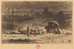 Lix Hilaire Buhot Prints: Les Anes de La Butte-aux-Cailles (Donkeys at La Butte-aux-Cailles), 1873 / 1874