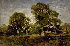 Ziem Felix Prints: Les chênes, between 1850 and 1860. Creator: Felix Francois Georges Philibert Ziem