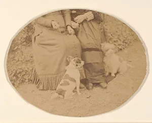 Les Chiens, 1860s. Creator: Pierre-Louis Pierson