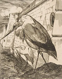 Stork Prints: Les Cigognes, 1870s. 1870s. Creator: Felix Bracquemond
