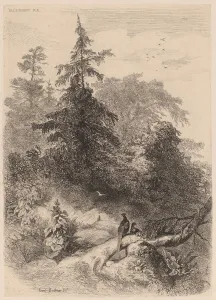 Bodmer Karl Prints: Les Faisans. Creator: Karl Bodmer