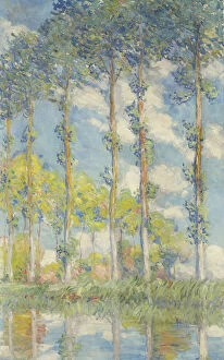 Morning Collection: Les Peupliers, 1891. Artist: Monet, Claude (1840-1926)