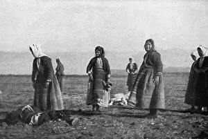 Les premieres victimes des aeroplanes allemands, le 30 decembre : deux moutons... 1915. Creator: Unknown